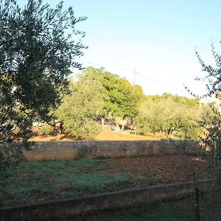 By The Sea - 348