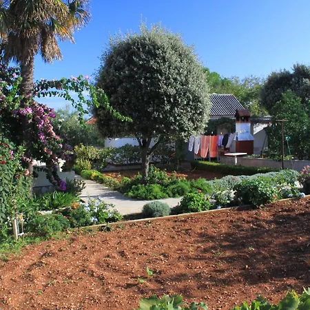 By The Sea - 348 Ugljan