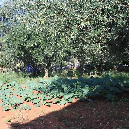 By The Sea - 348 * Ugljan