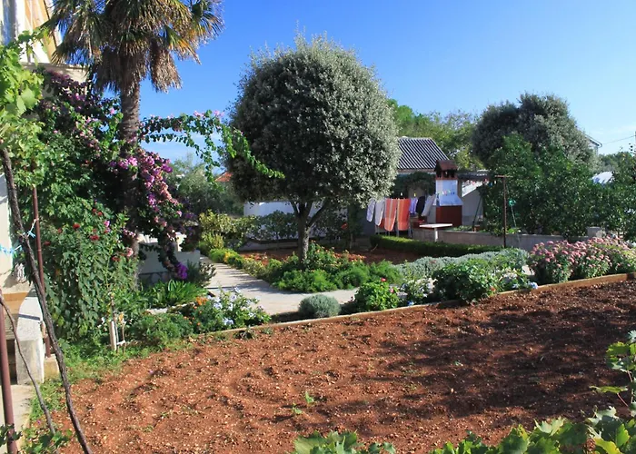 By The Sea - 348 Ugljan