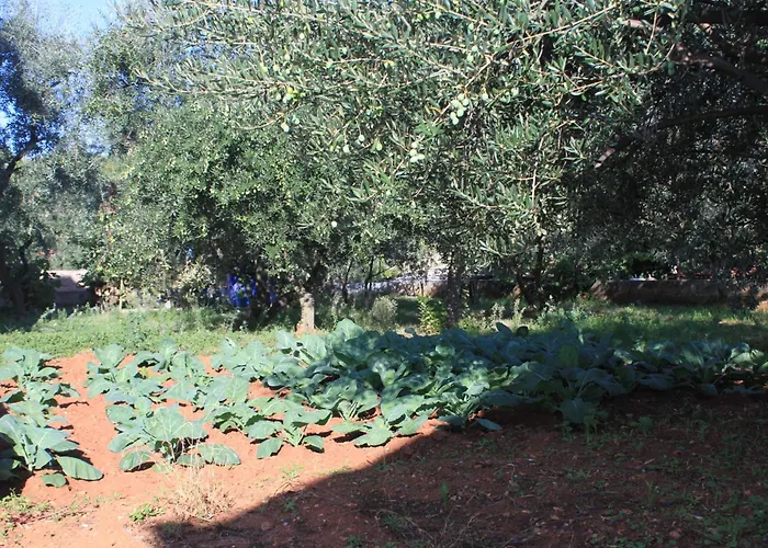 By The Sea - 348 * Ugljan