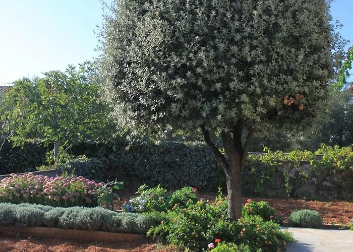 By The Sea - 348 Appartamento Ugljan